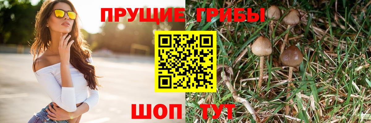 Людиново  Галлюциногенные грибы MAGIC MUSHROOMS  Галлюциногенные грибы MAGIC MUSHROOMS  Вход с VPN 